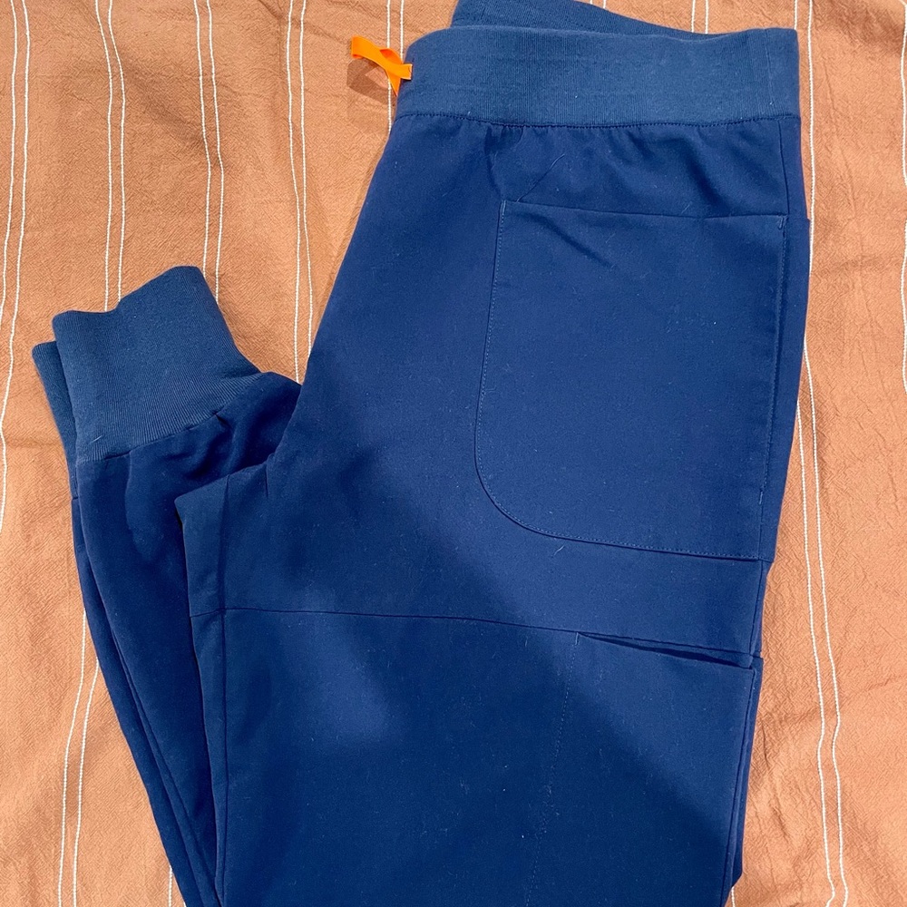 Figs Nepal Skinny Joggers